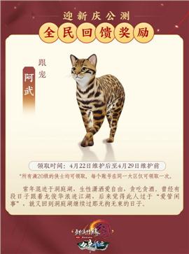 天龙八部私服13